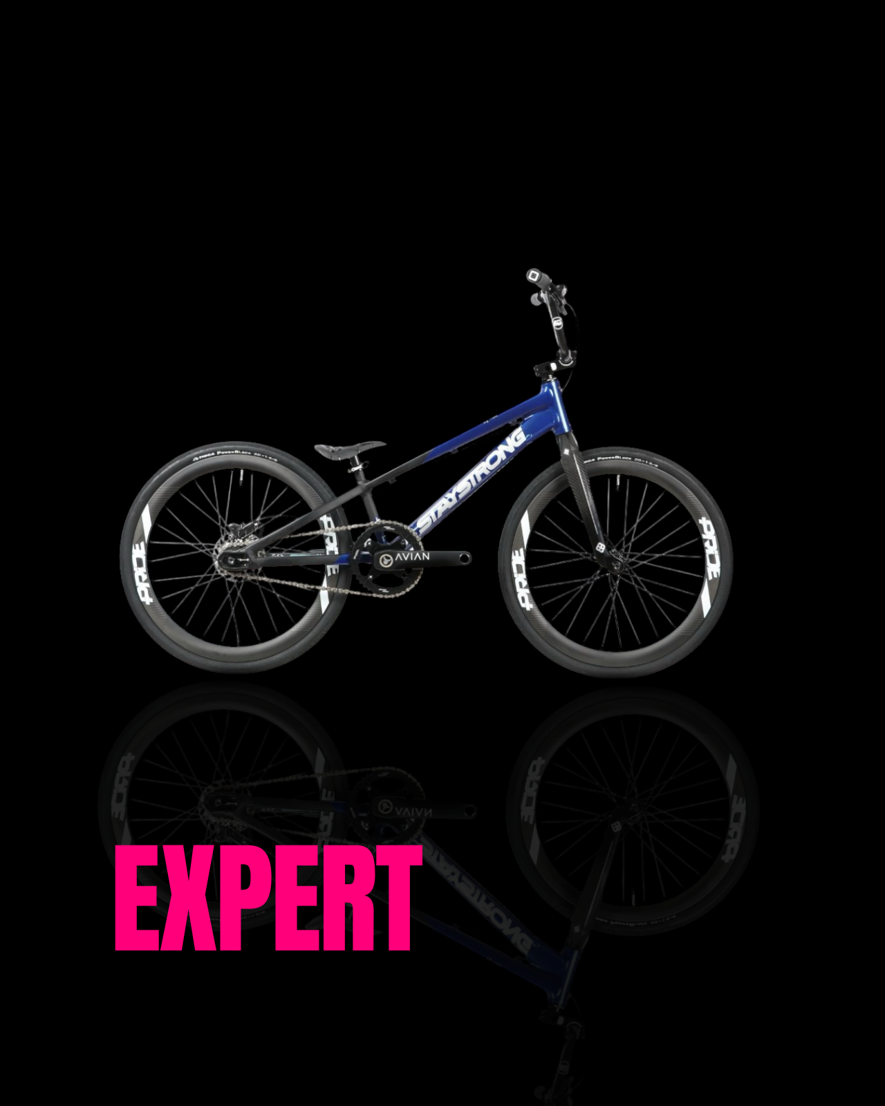 Expert