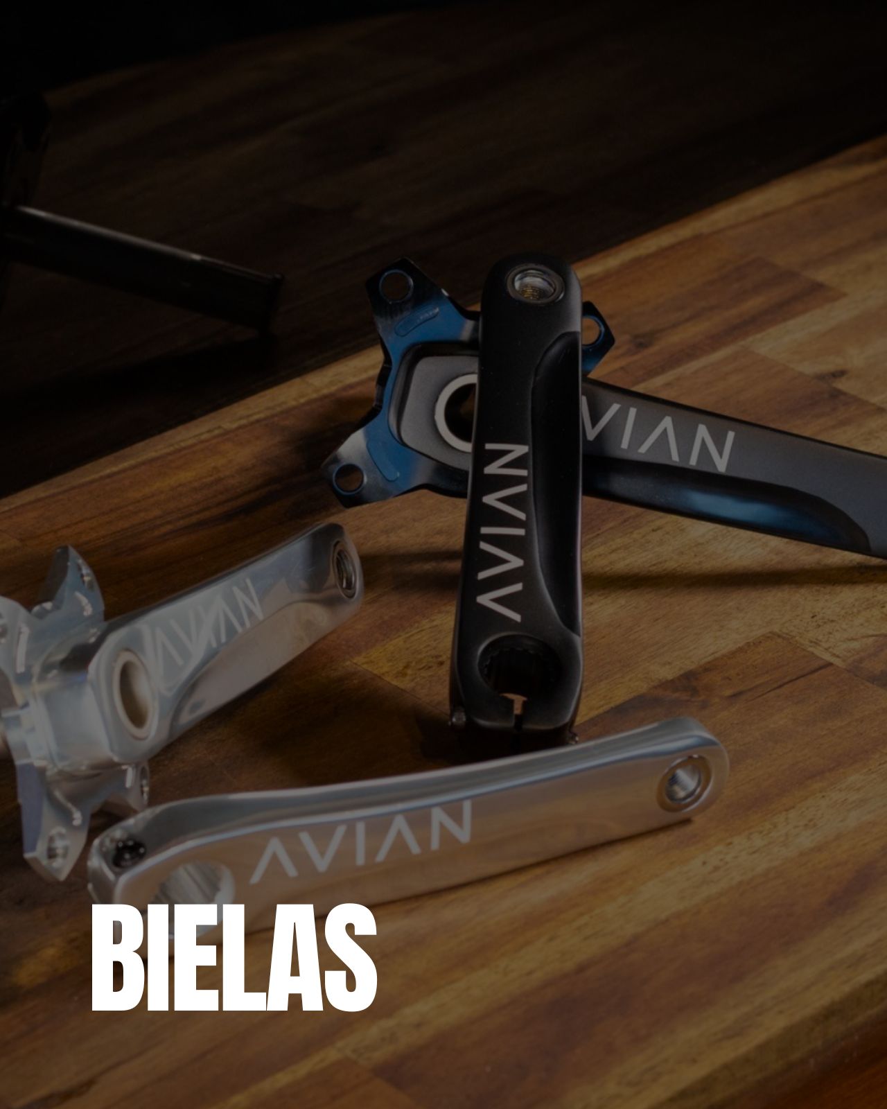 Bielas