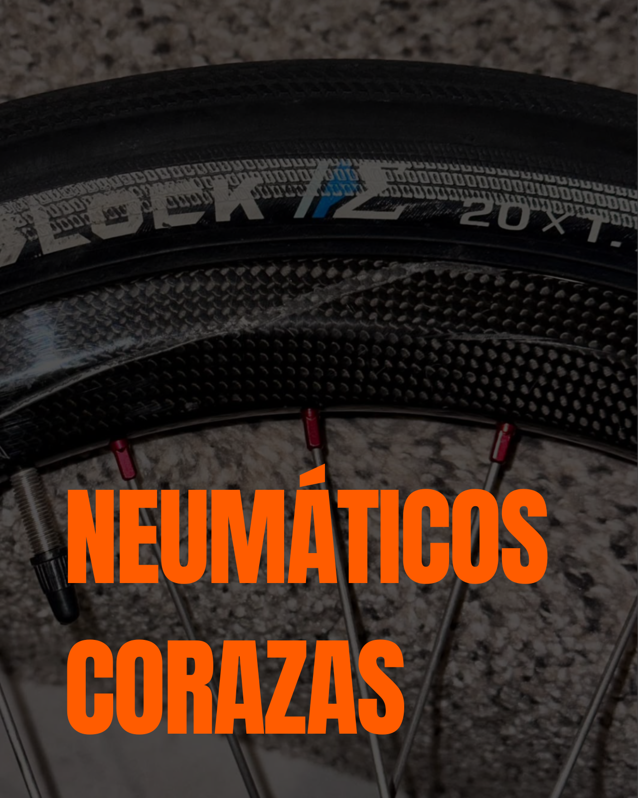 Neumáticos