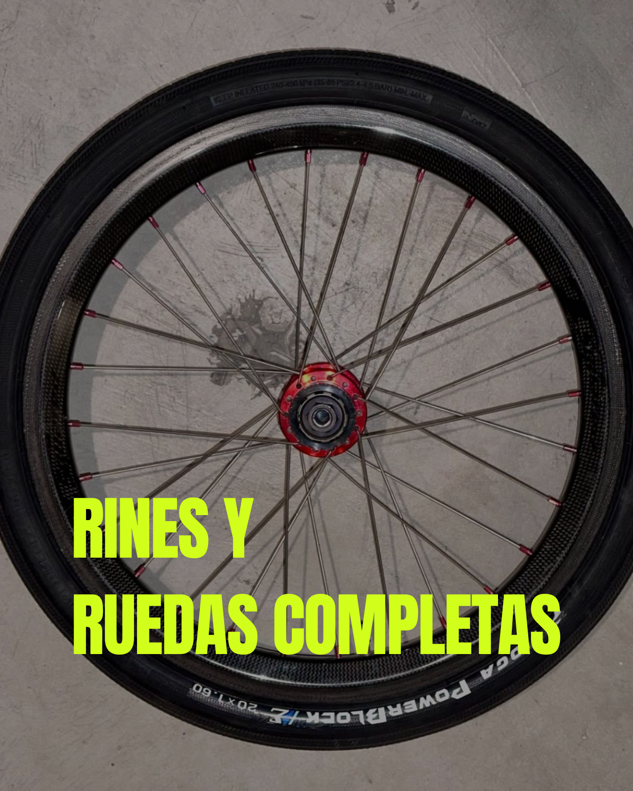 Rines